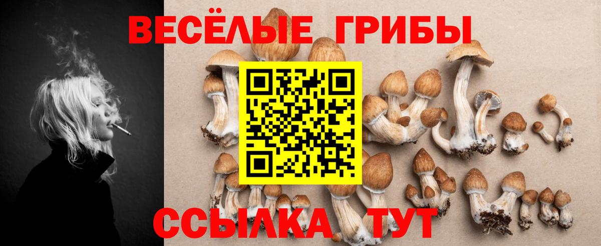Галлюциногенные грибы мицелий Борзя