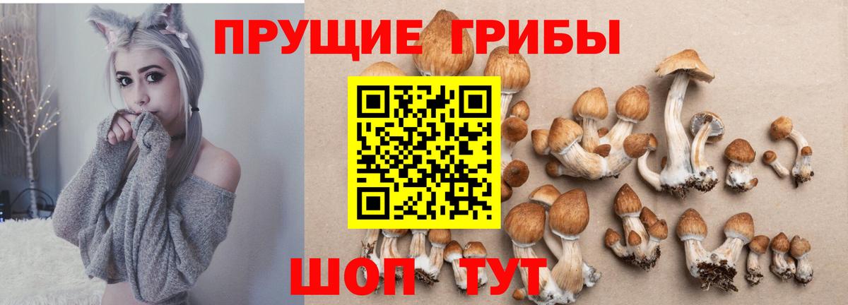 купить  цена  Псилоцибиновые грибы Psilocybe  Вход с VPN  Псилоцибиновые грибы мухоморы  Борзя 